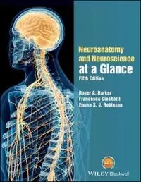 Neuroanatomy and Neuroscience at a Glance